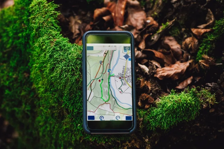 Smartphone showing a map app lying on moss and autumn leaves