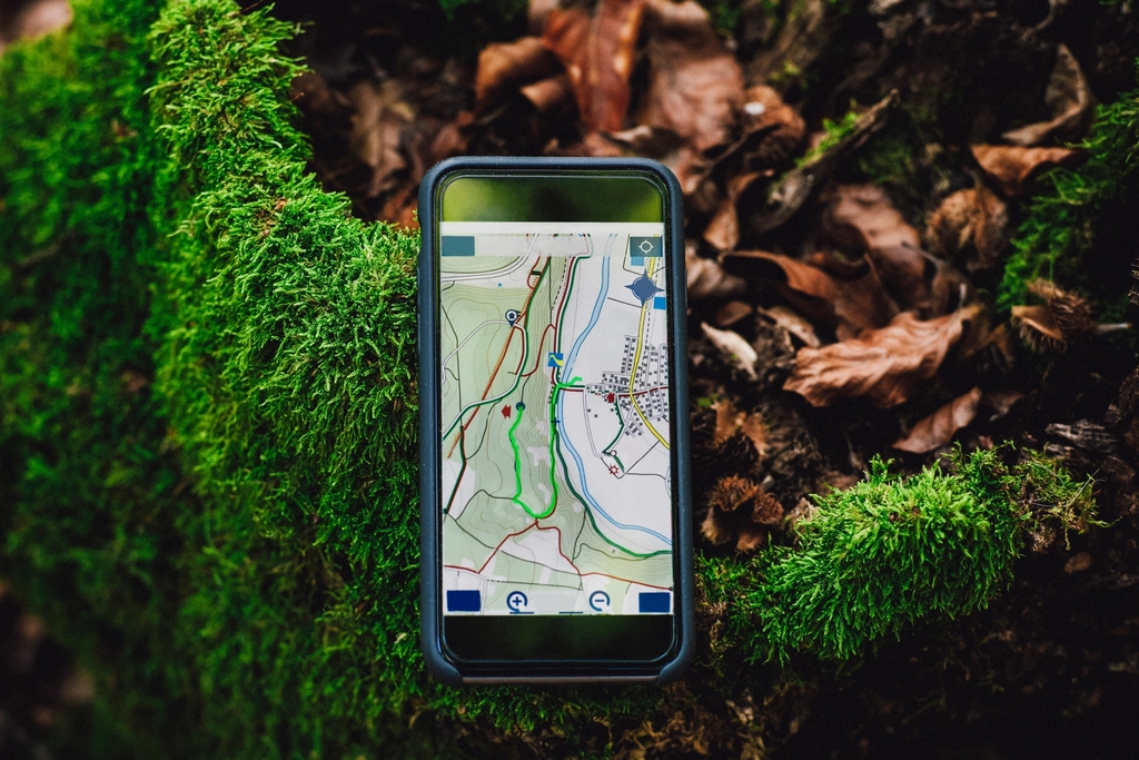 Smartphone showing a map app lying on moss and autumn leaves
