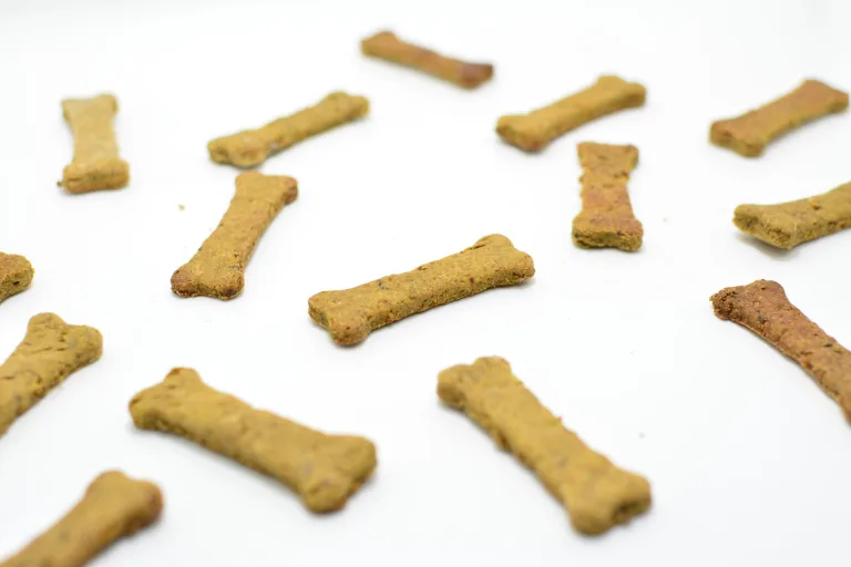 Bone-shaped homemade dog biscuits scattered on a white surface
