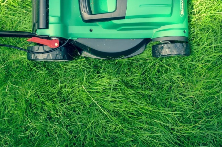 Green lawn mower on grass
