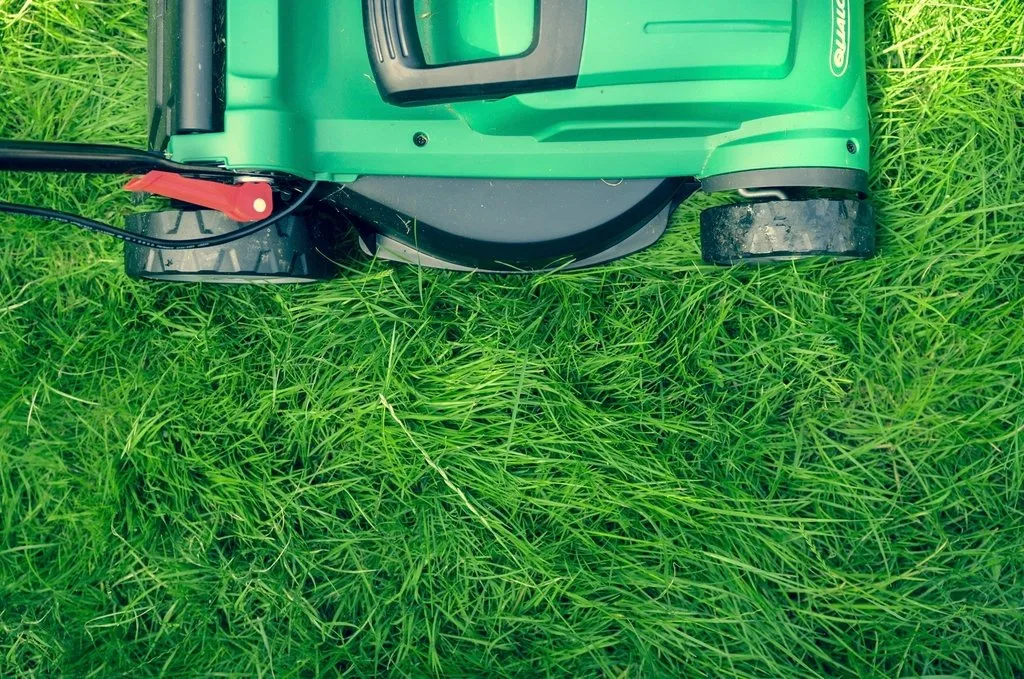 Green lawn mower on grass