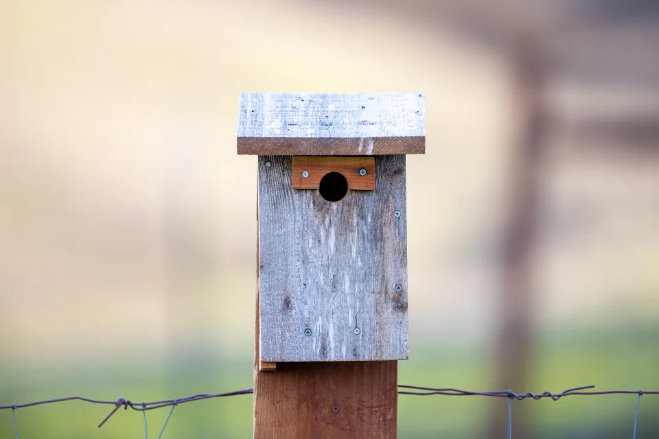 Weathered wooden birdhouse mounted on a post beside a wire fence